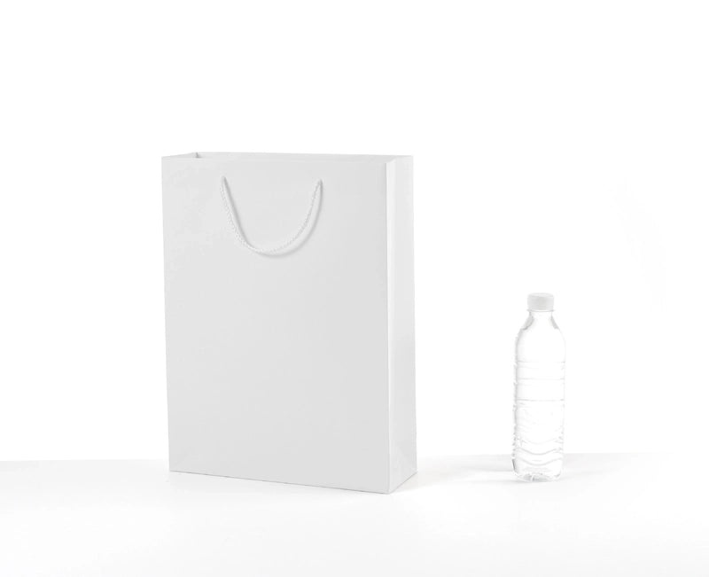 Thickened White Kraft Paper Gift Bag with Handles | Paper Bags & Gift Packaging