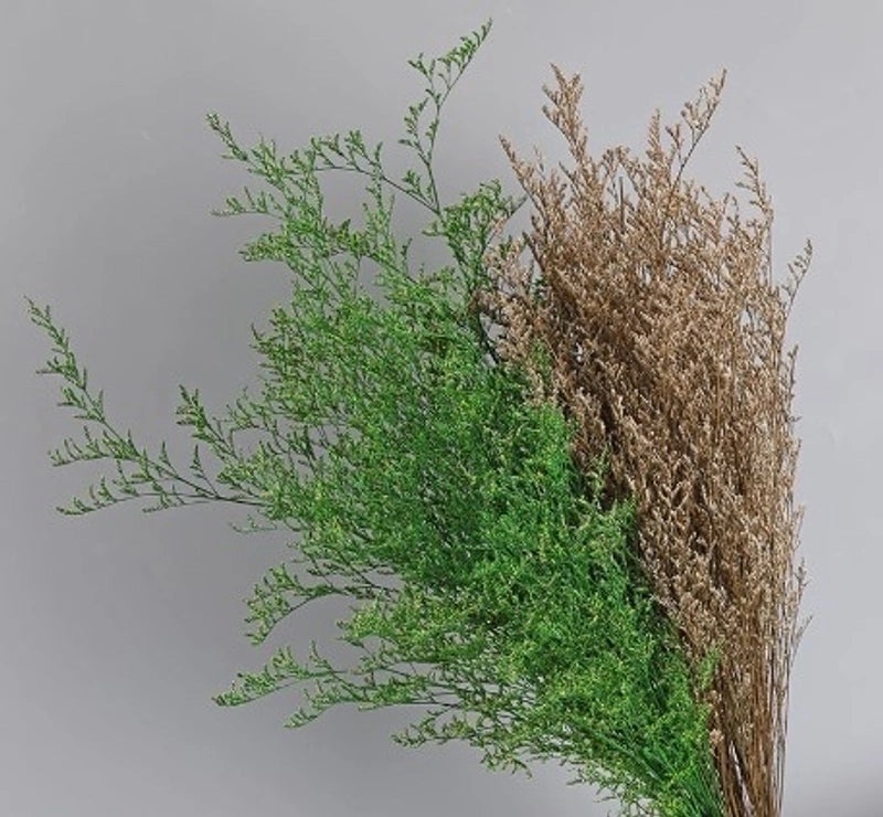 Minimalist Solid Color Dried Flower Decor | Home Decor Ornaments