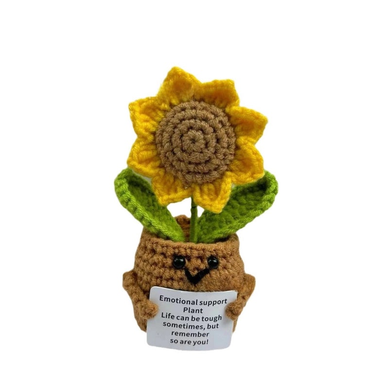 Handmade Emotional Support Plant Gift | Home Decor & Plant Gifts