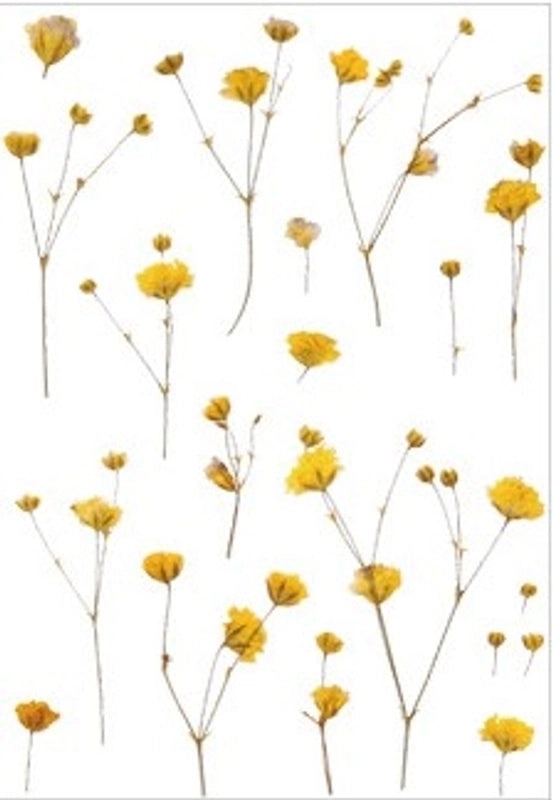 Floral Plant Material DIY Handcrafted Unique Pet Stickers|Home Decor & Craft Supplies