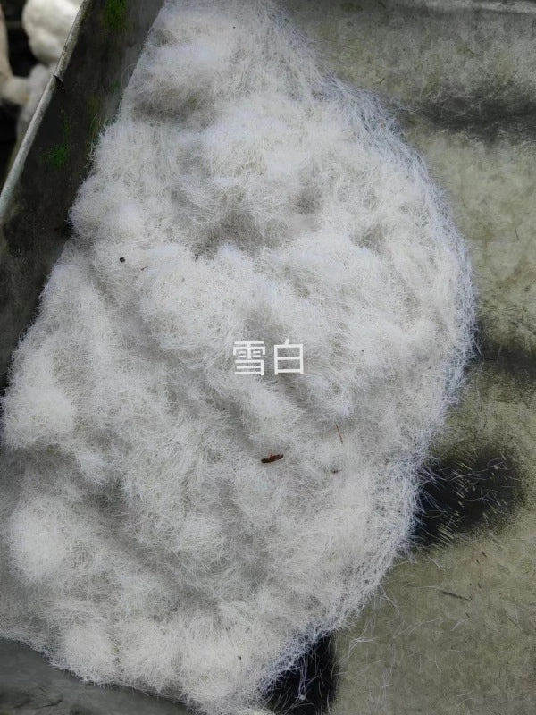 Artificial Moss Plant Set for Indoor Micro Landscape, Soft Green Fake Moss Decoration for Window and Aisle|Home Decor