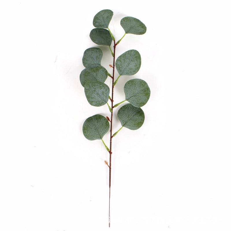 Single Branch Eucalyptus Leaf with Fruit DIY Floral Arrangement Artificial Money Leaf Decoration|Home Decor Artificial Plants