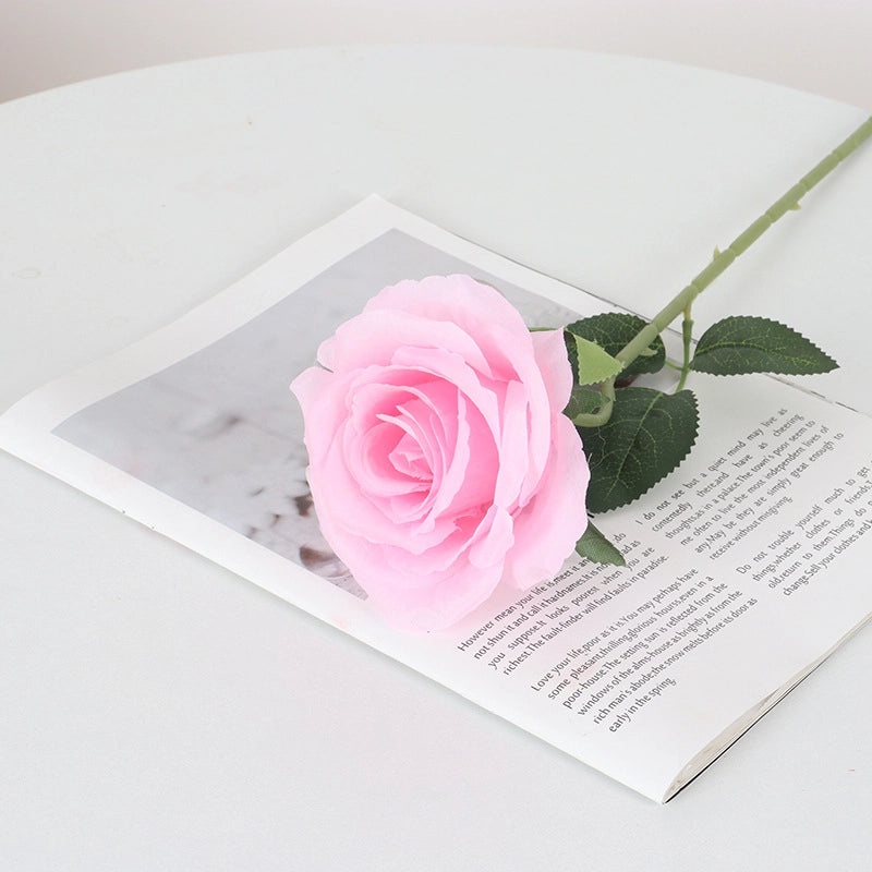 Velvet Pearl Rose Wall Decor for Home Hotel Wedding Valentine's Day | Home Decor & Wall Art