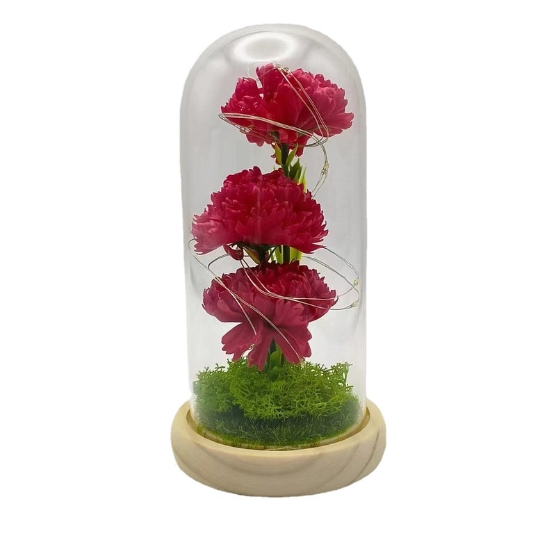 Eternal Rose and Carnation Gift Box with Glass Cover for Mother's Day Valentine's Birthday|Gifts & Flowers