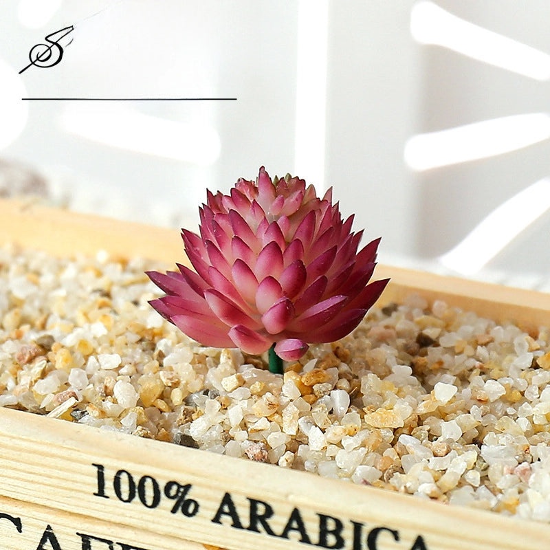 Jigwa Lotus Artificial Succulent Plant Wall Decor DIY Creative Supplies Factory Direct|Home & Garden Decorations