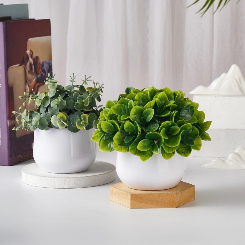 Artificial Green Plant Desktop Decoration Small Indoor Flower Living Room Decor|Home Decor