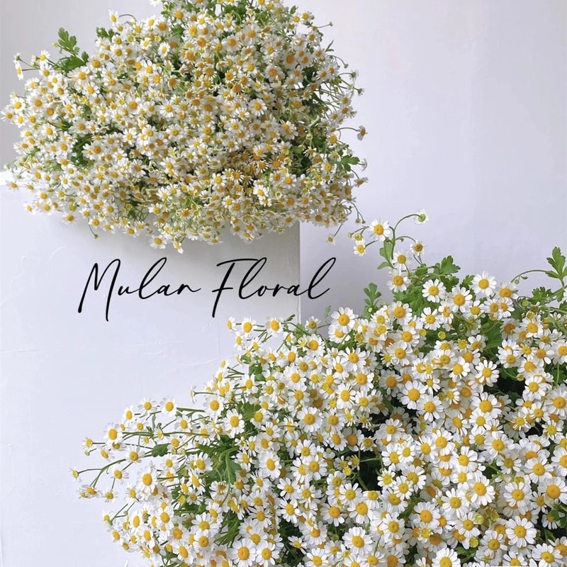 Chamomile Daisy Artificial Flowers Bouquet for Living Room and Dining Table Decor, Photo Props|Home Decor Artificial Flowers