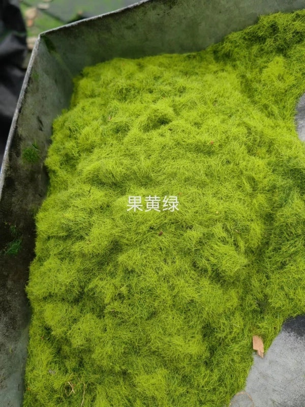 Artificial Moss Plant Set for Indoor Micro Landscape, Soft Green Fake Moss Decoration for Window and Aisle|Home Decor