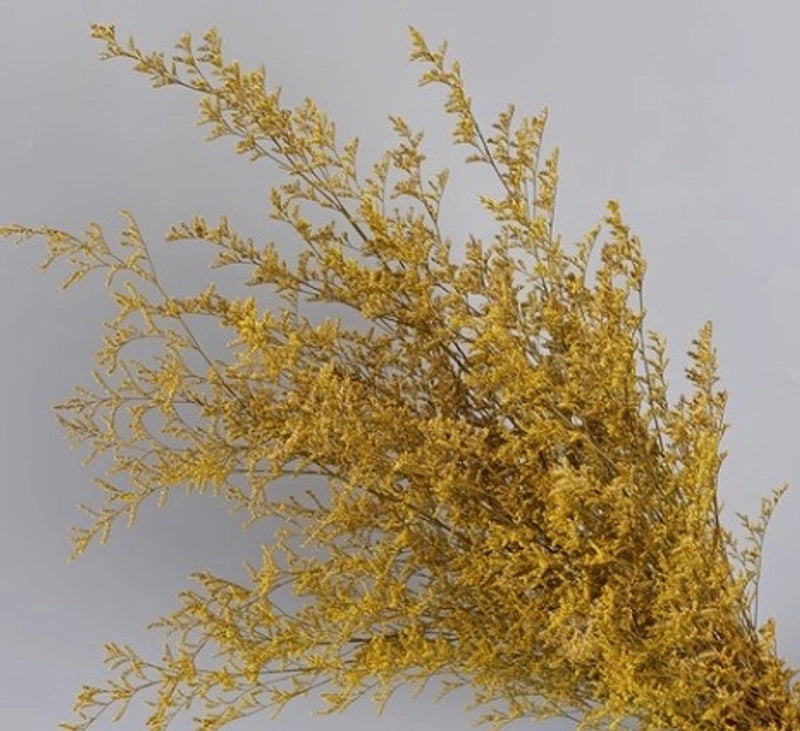 Minimalist Solid Color Dried Flower Decor | Home Decor Ornaments