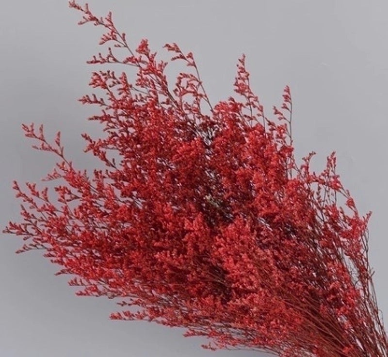 Minimalist Solid Color Dried Flower Decor | Home Decor Ornaments