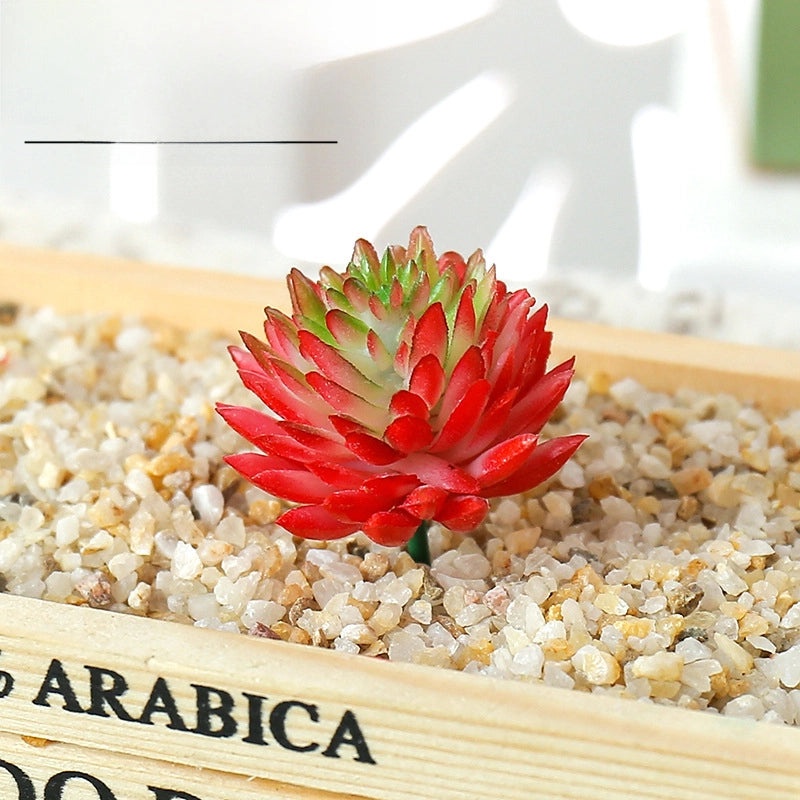 Jigwa Lotus Artificial Succulent Plant Wall Decor DIY Creative Supplies Factory Direct|Home & Garden Decorations