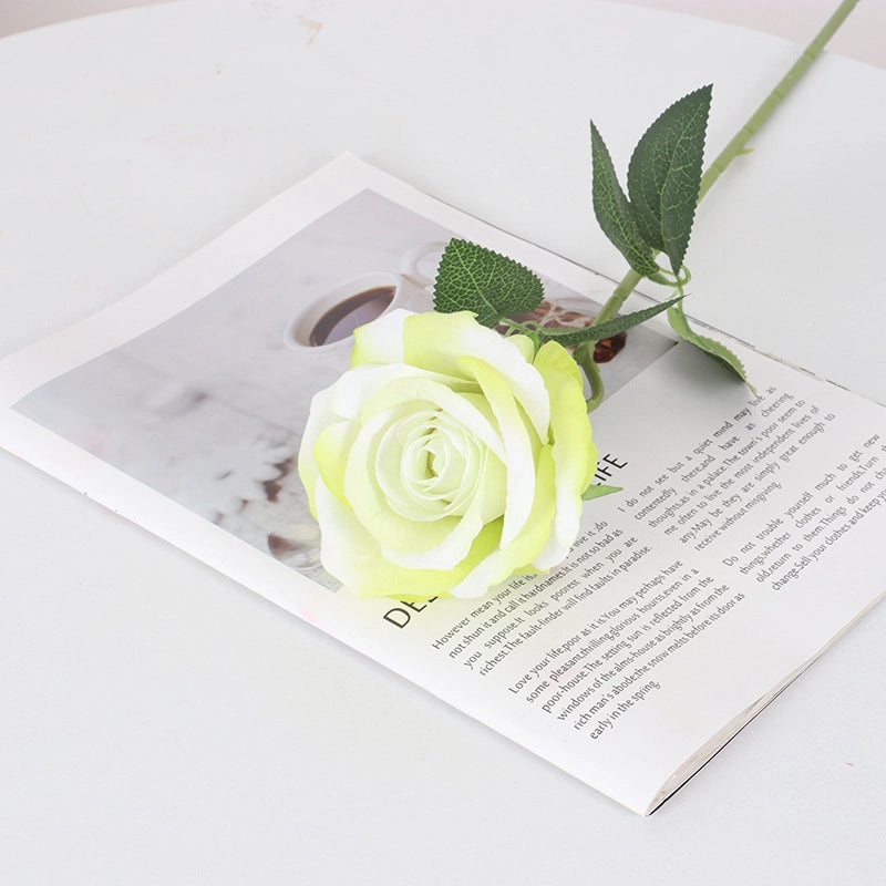 Velvet Pearl Rose Wall Decor for Home Hotel Wedding Valentine's Day | Home Decor & Wall Art