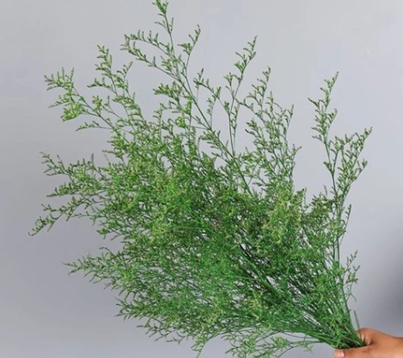 Minimalist Solid Color Dried Flower Decor | Home Decor Ornaments