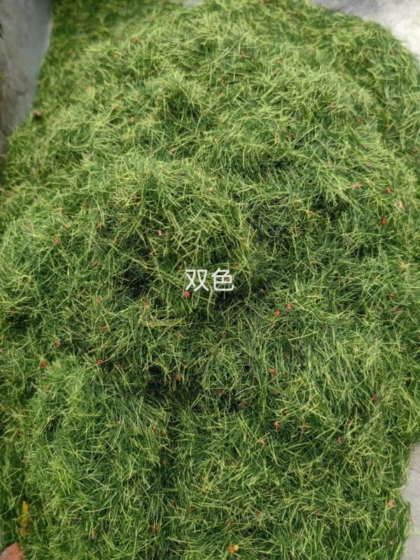 Artificial Moss Plant Set for Indoor Micro Landscape, Soft Green Fake Moss Decoration for Window and Aisle|Home Decor