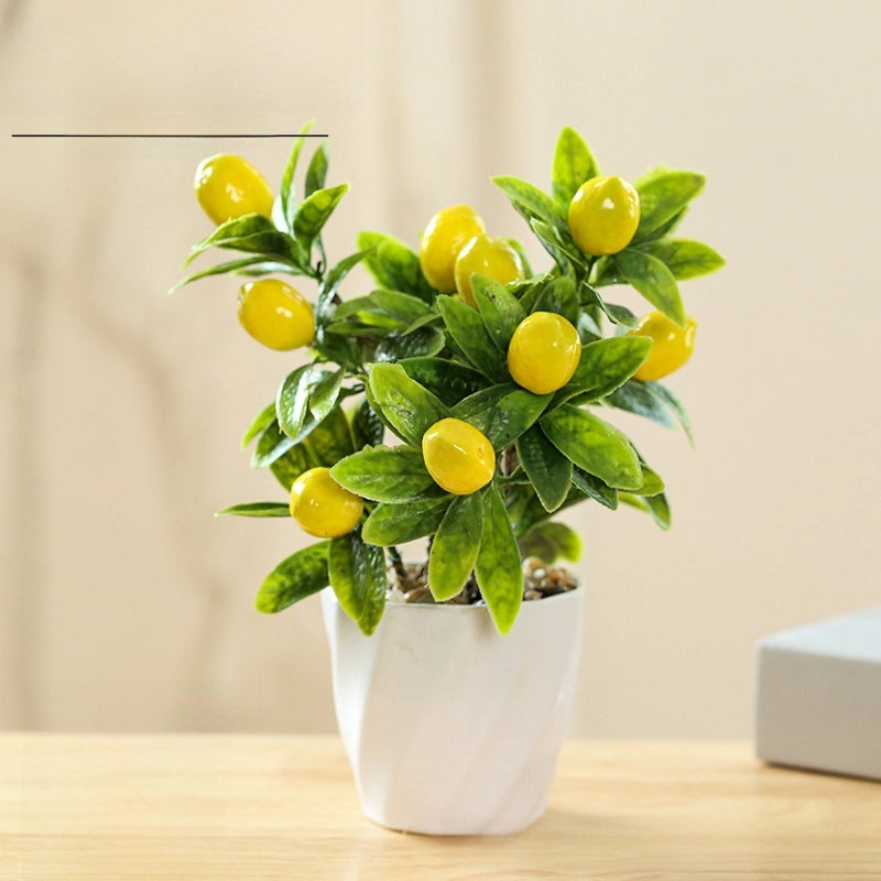 Creative Small Fruit Flower Indoor Plant Home Decor | Home & Garden Decorations