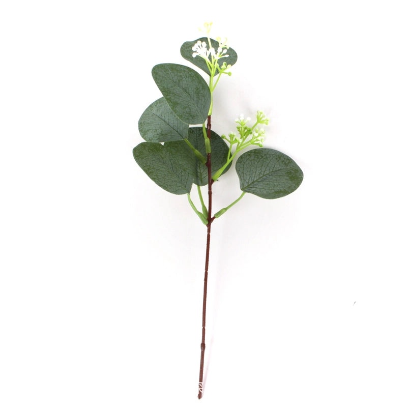 Single Branch Eucalyptus Leaf with Fruit DIY Floral Arrangement Artificial Money Leaf Decoration|Home Decor Artificial Plants