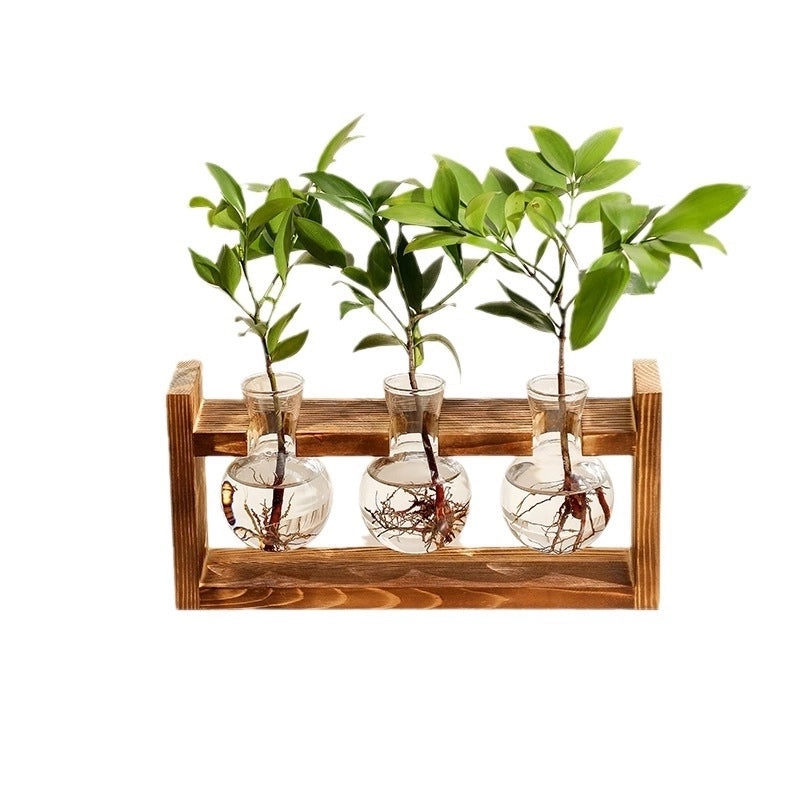 Minimalist Geometric Glass Vase for Home Decor|Home Decor