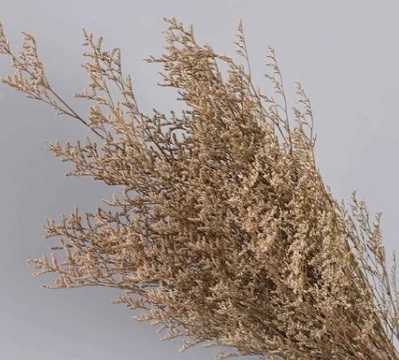 Minimalist Solid Color Dried Flower Decor | Home Decor Ornaments