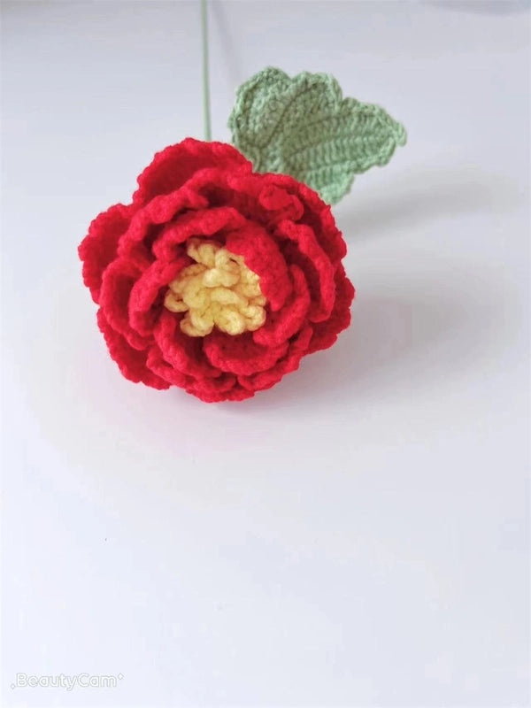 Peony Wool Hand-Woven DIY Artificial Flower Bouquet for Home Decor and Teacher's Day Gift | Home Decor & Gifts