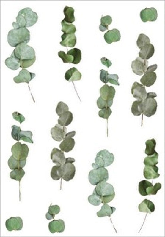 Floral Plant Material DIY Handcrafted Unique Pet Stickers|Home Decor & Craft Supplies