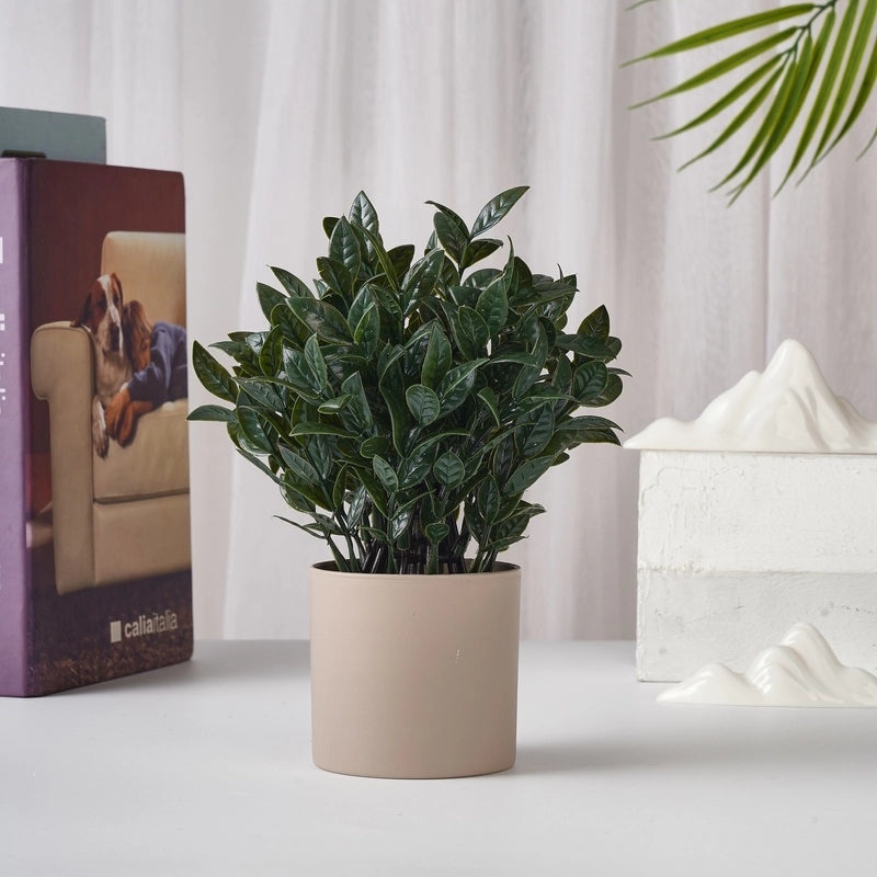 Artificial Green Plant Desktop Decoration Small Indoor Flower Living Room Decor|Home Decor