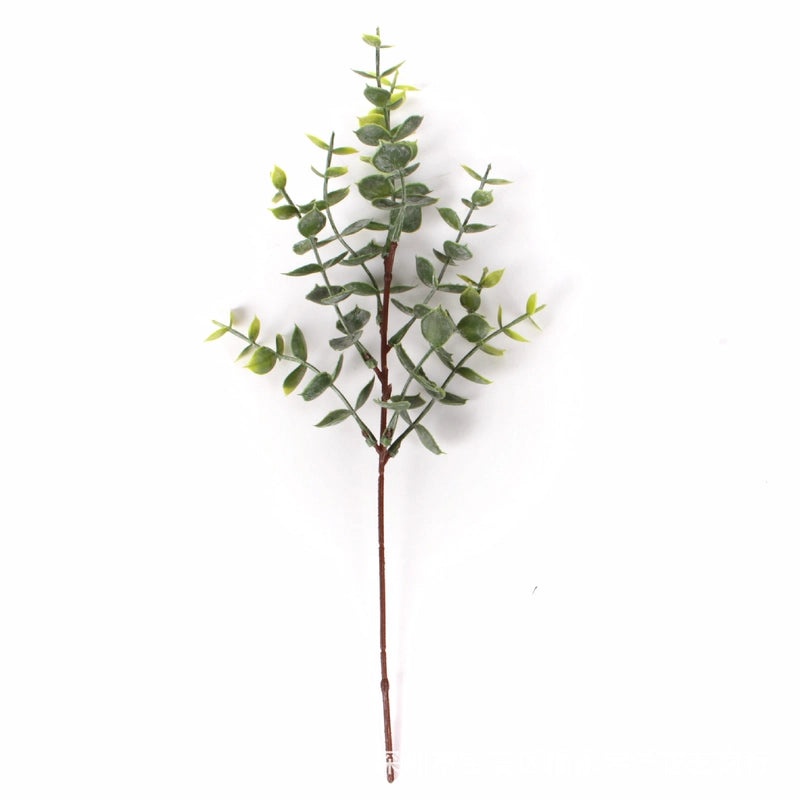 Single Branch Eucalyptus Leaf with Fruit DIY Floral Arrangement Artificial Money Leaf Decoration|Home Decor Artificial Plants