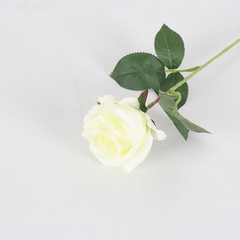 Velvet Pearl Rose Wall Decor for Home Hotel Wedding Valentine's Day | Home Decor & Wall Art