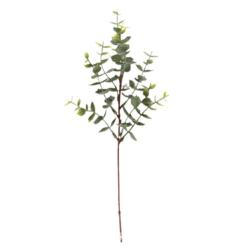 Single Branch Eucalyptus Leaf with Fruit DIY Floral Arrangement Artificial Money Leaf Decoration|Home Decor Artificial Plants