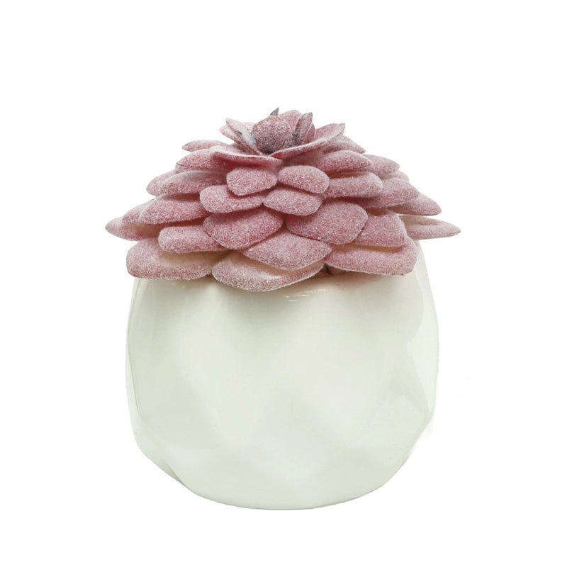 Minimalist Plastic Artificial Plant Flowers for Home Decor|Home & Garden Artificial Plants