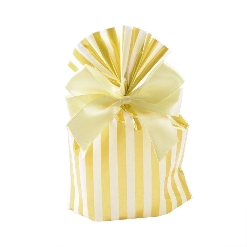 Striped and Polka Dot Plastic Gift Bags Set|Gift Bags and Wrapping Supplies