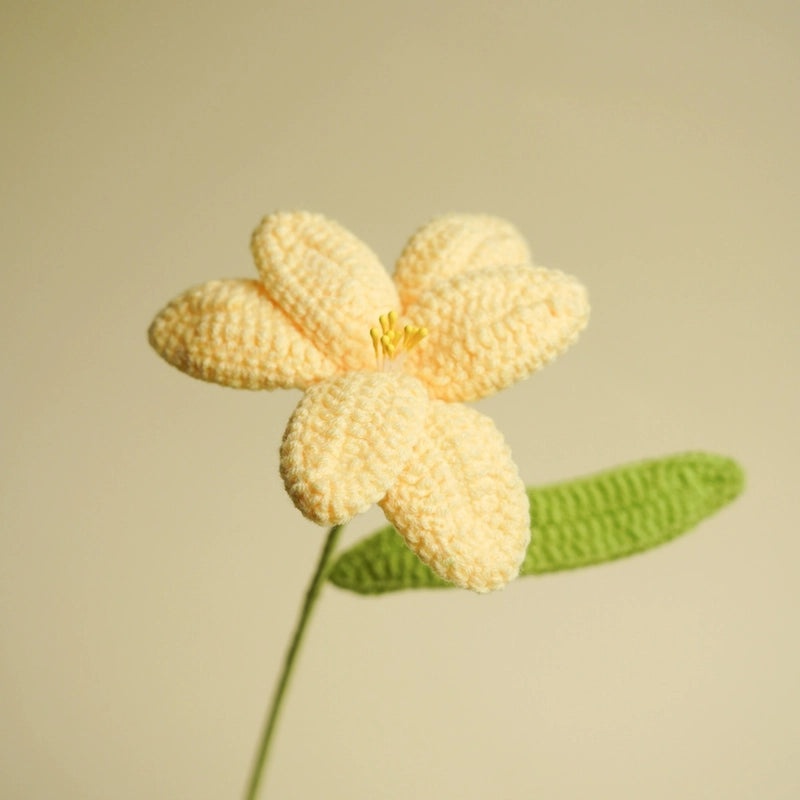 Handmade Wool Tulip Bouquet Crocheted Artificial Flowers for Valentine's & Teacher's Day|Home Decor & Gifts