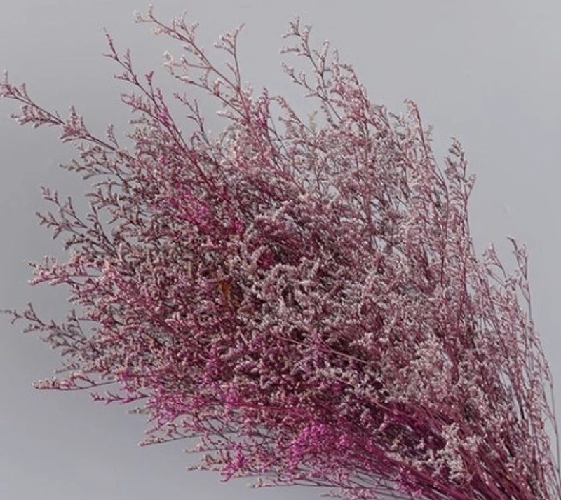 Minimalist Solid Color Dried Flower Decor | Home Decor Ornaments