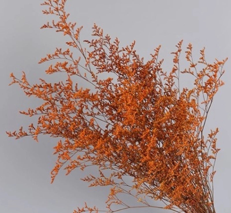 Minimalist Solid Color Dried Flower Decor | Home Decor Ornaments