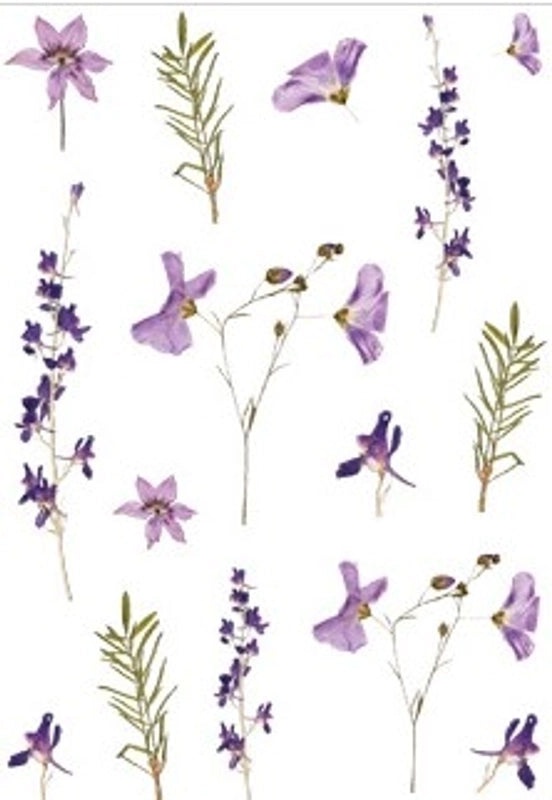 Floral Plant Material DIY Handcrafted Unique Pet Stickers|Home Decor & Craft Supplies