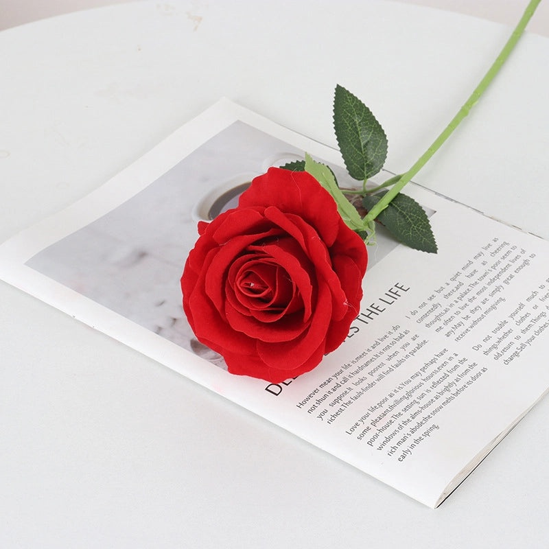 Velvet Pearl Rose Wall Decor for Home Hotel Wedding Valentine's Day | Home Decor & Wall Art