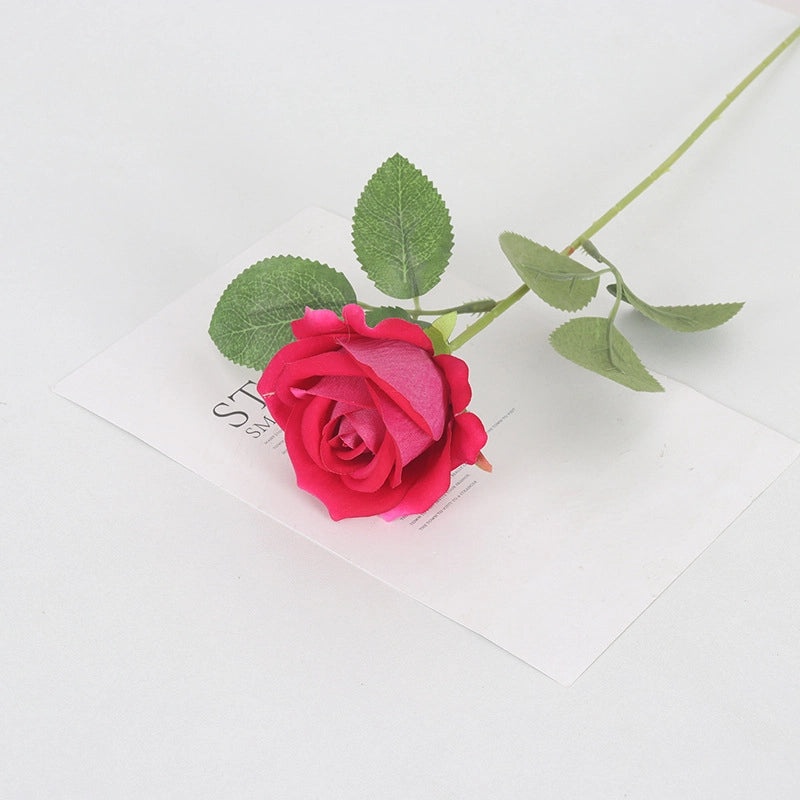 Velvet Pearl Rose Wall Decor for Home Hotel Wedding Valentine's Day | Home Decor & Wall Art