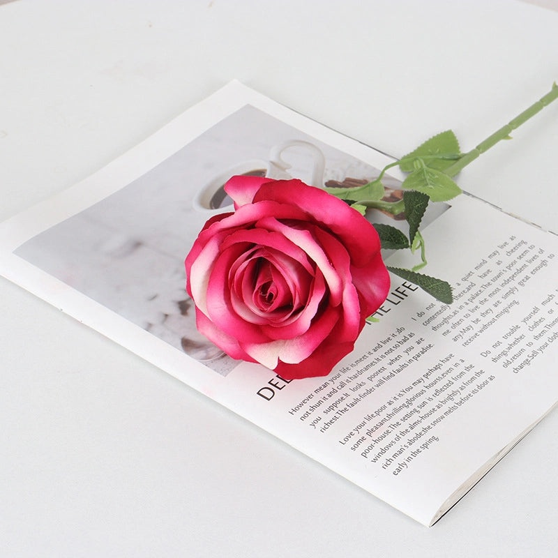 Velvet Pearl Rose Wall Decor for Home Hotel Wedding Valentine's Day | Home Decor & Wall Art