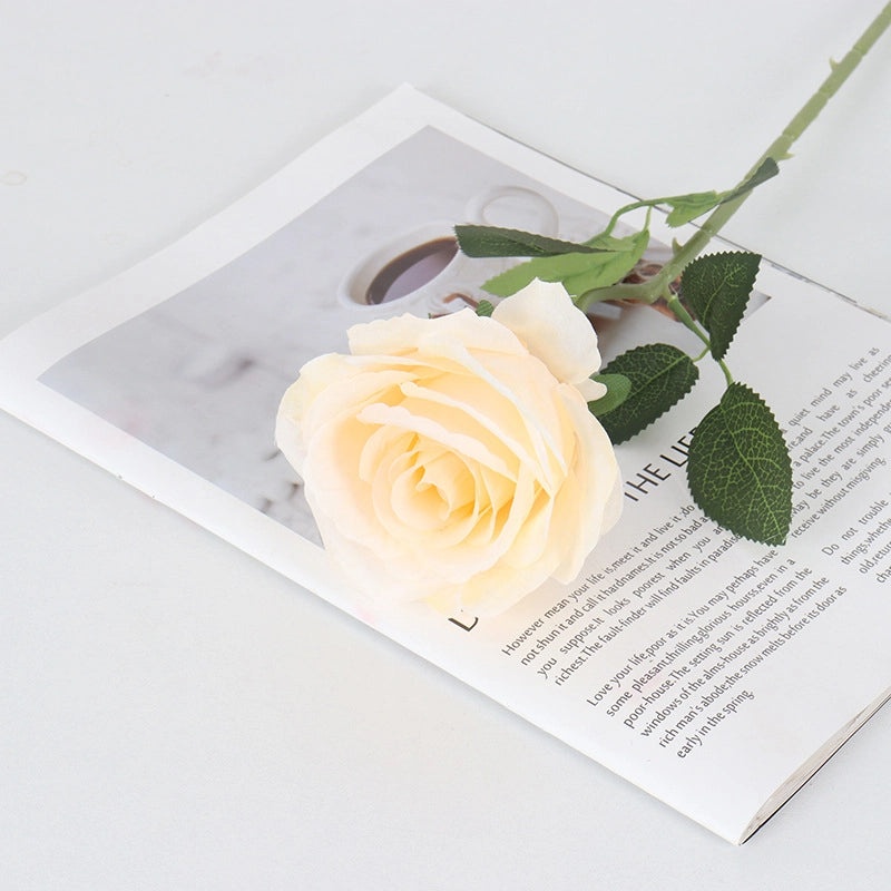 Velvet Pearl Rose Wall Decor for Home Hotel Wedding Valentine's Day | Home Decor & Wall Art