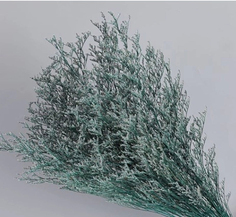 Minimalist Solid Color Dried Flower Decor | Home Decor Ornaments