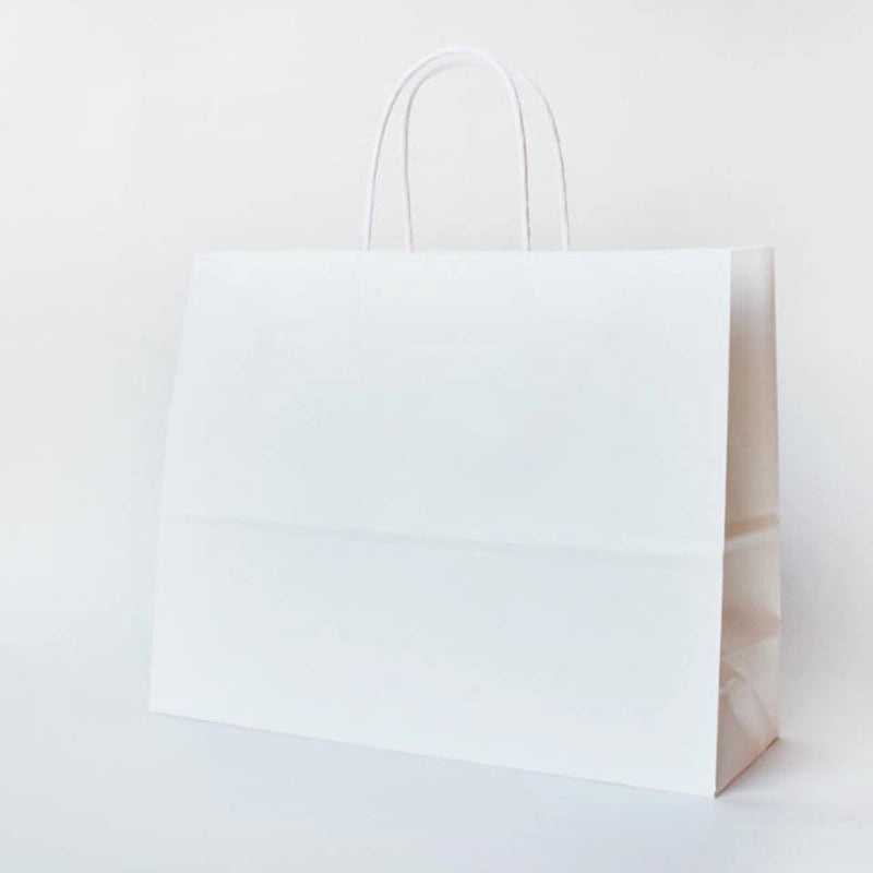 Simple Solid Color Paper Gift Bags for Holidays | Gift Packaging