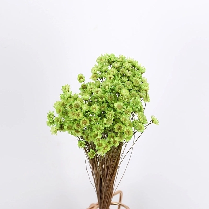 Pastoral Dried Flower Bouquet Artificial Floral Decor|Home Decor & Artificial Flowers
