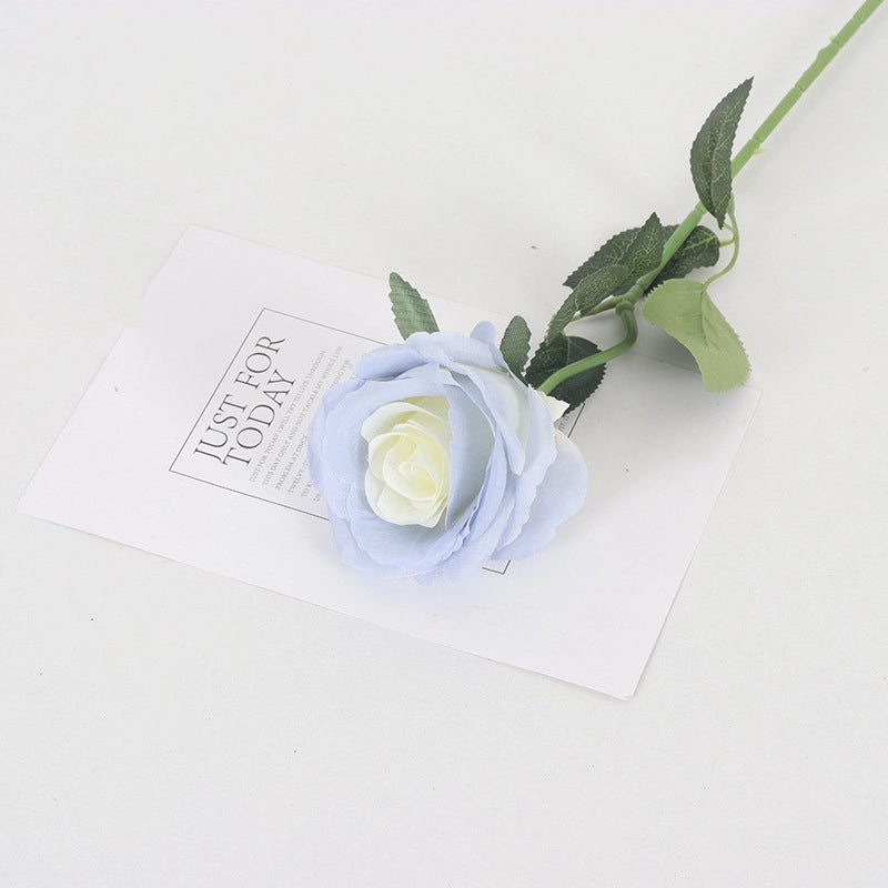 Velvet Pearl Rose Wall Decor for Home Hotel Wedding Valentine's Day | Home Decor & Wall Art