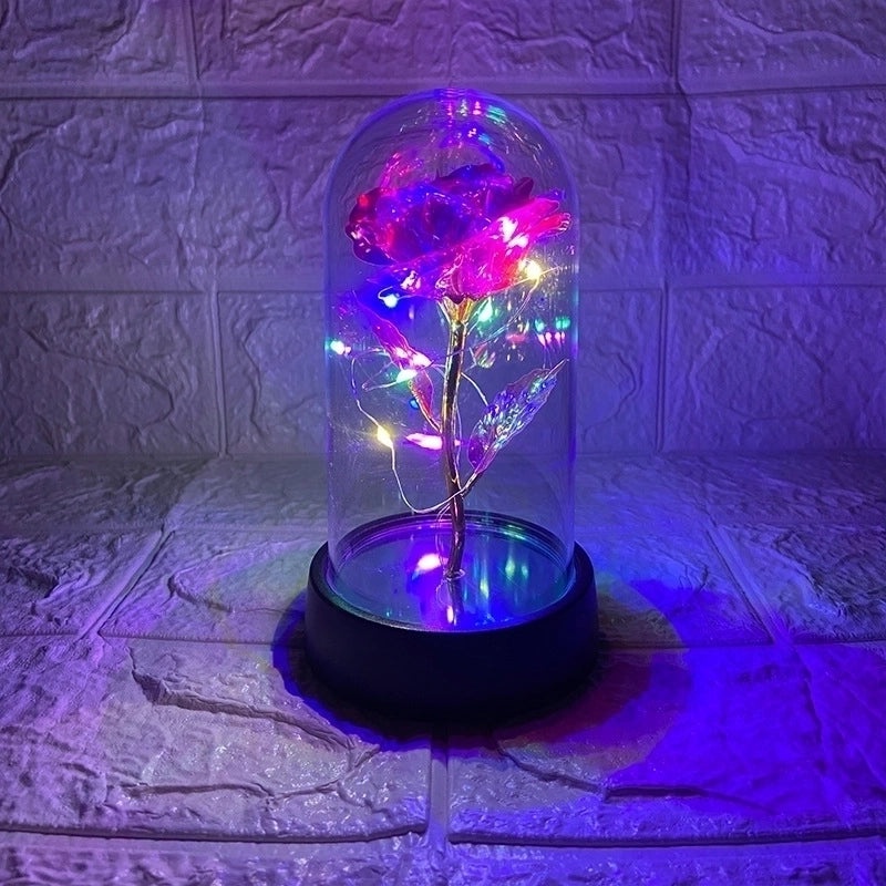 Romantic Pastoral Preserved Flower for Valentine's Day Party Decoration|Home Decor & Party Supplies