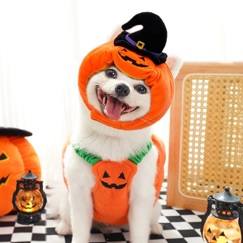 Classic Minimalist Polyester Halloween Pumpkin Pet Costume|Pet Clothing
