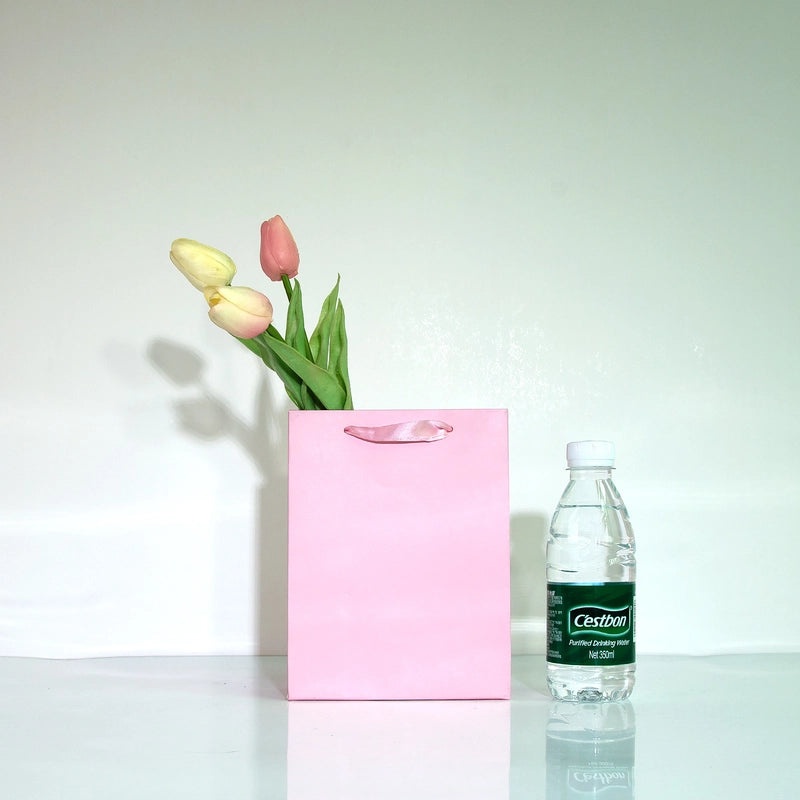 Simple Solid Color Paper Gift Bag|Gift Bags and Wrapping Supplies