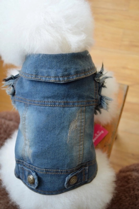 Personalized Retro Denim Vest for Small Dogs Autumn Winter Clothes Scratch Pattern Teddy Bichon Style|Pet Apparel & Accessories