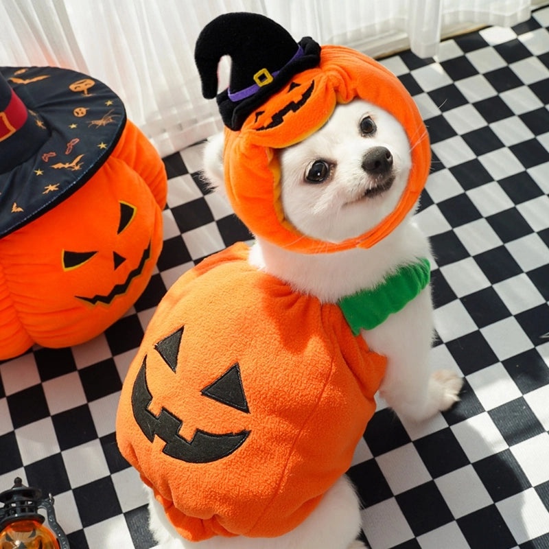 Classic Minimalist Polyester Halloween Pumpkin Pet Costume|Pet Clothing