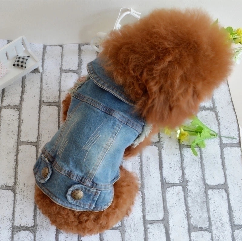 Personalized Retro Denim Vest for Small Dogs Autumn Winter Clothes Scratch Pattern Teddy Bichon Style|Pet Apparel & Accessories