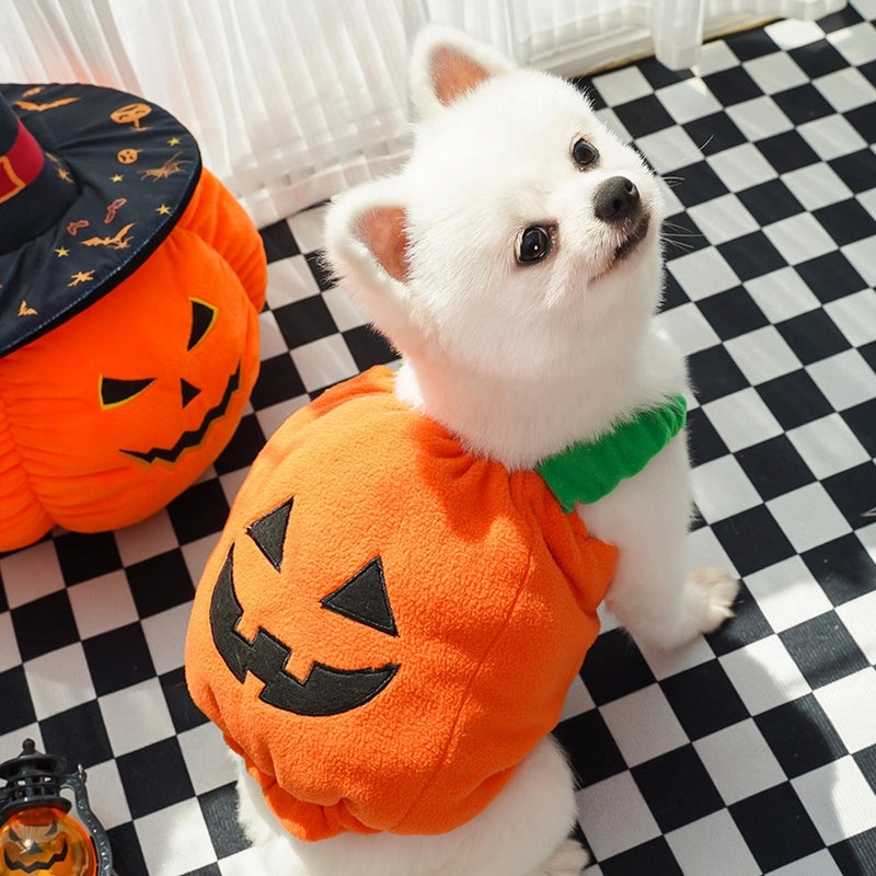 Classic Minimalist Polyester Halloween Pumpkin Pet Costume|Pet Clothing