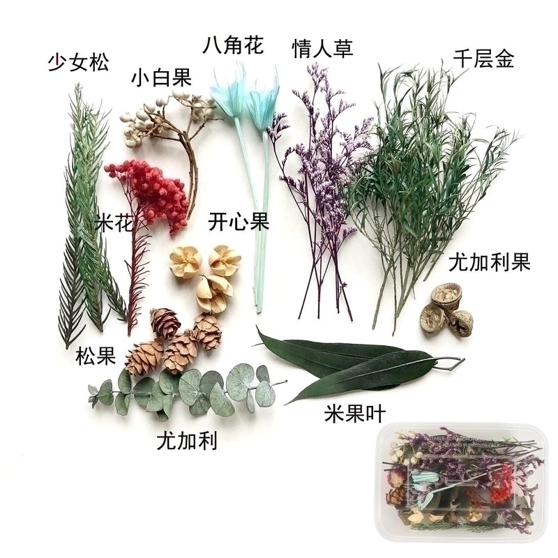 Preserved Dried Flower Bouquet for Party Decor|Home Decor & Party Supplies